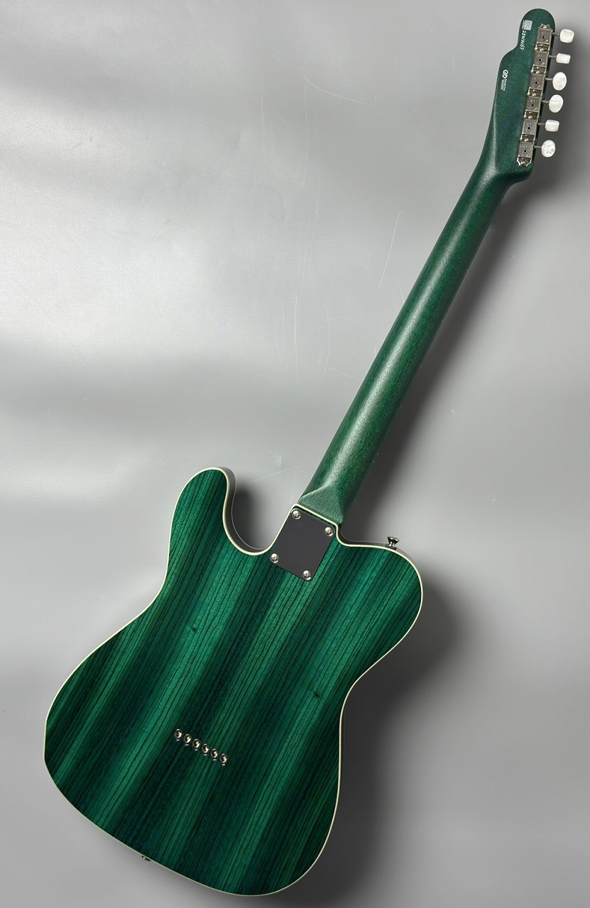 FREEDOM CUSTOM GUITAR RESEARCH C.S. TE Pepper Semi Hollow -Green