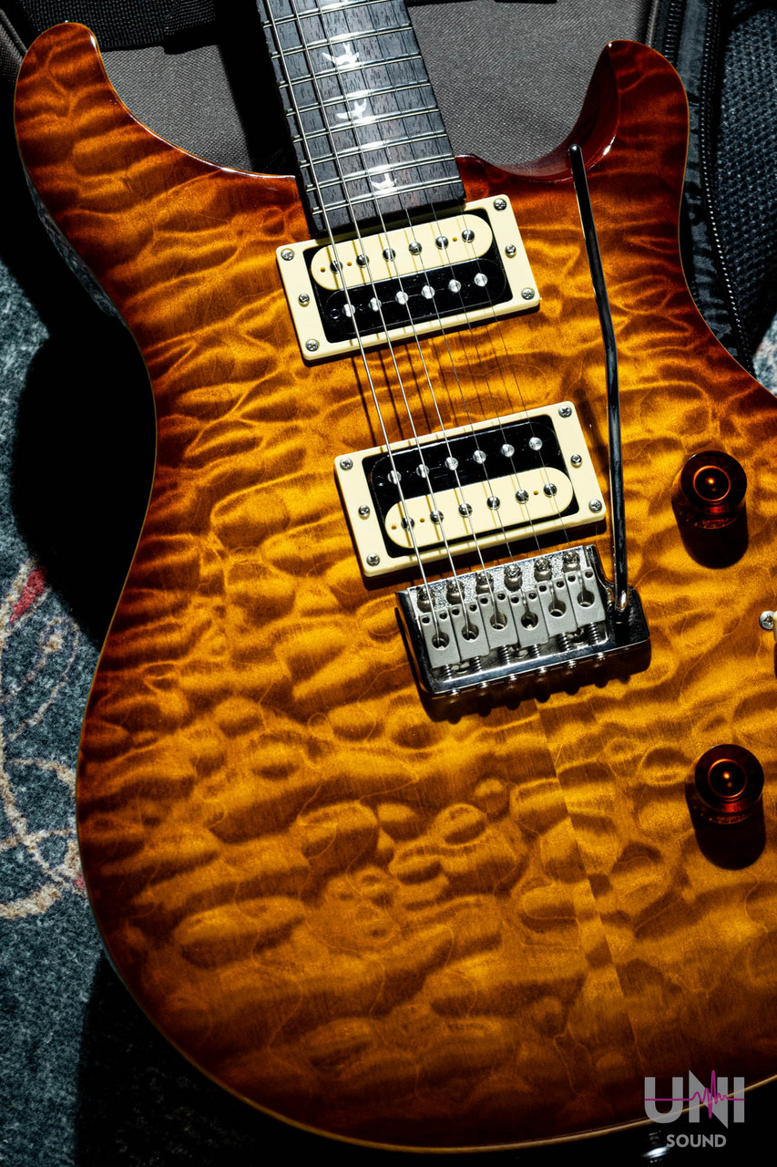 Paul Reed Smith(PRS) SE Custom 24 30th Anniversary Vintage