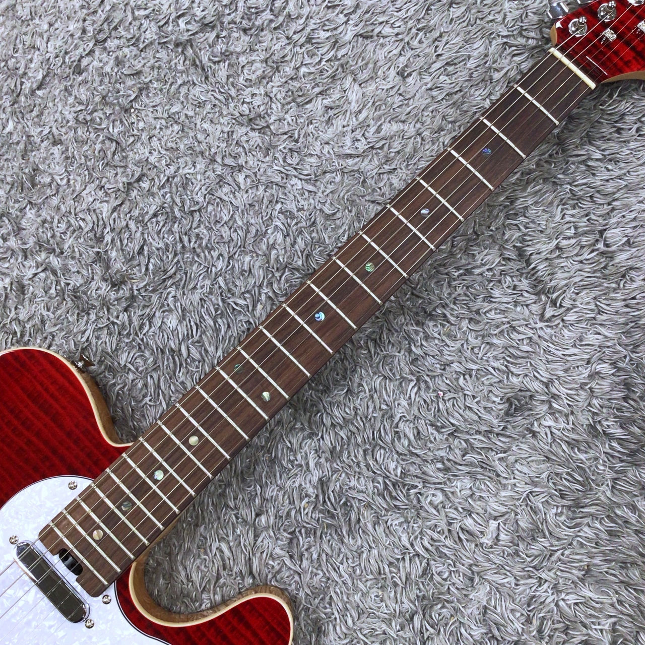 Aria Pro II 615-AE200 SR (See-through Red) -Aria Evergreen- 【NEW