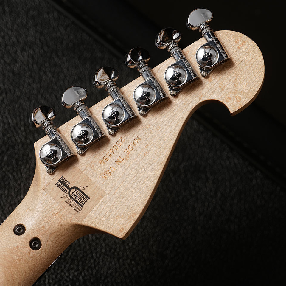 Washburn N4-NUNO VINTAGE #6554【3.17 kg】（新品/送料無料）【楽器
