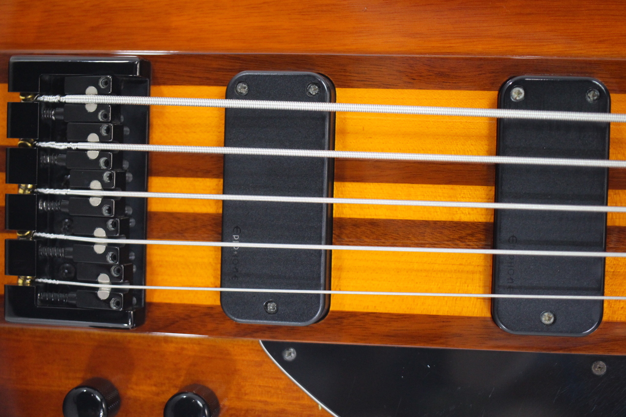 Epiphone THUNDERBIRD PRO V（中古）【楽器検索デジマート】