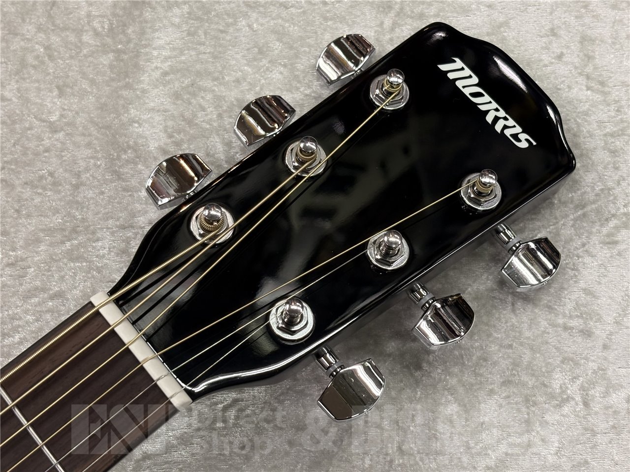 Morris R-1 (Black)（新品/送料無料）【楽器検索デジマート】
