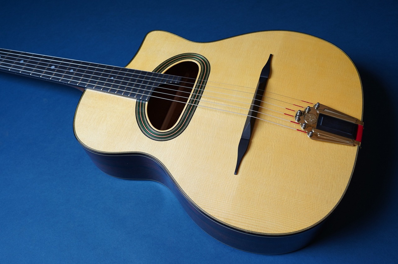 Stringphonic Advanced 14D（新品/送料無料）【楽器検索デジマート】