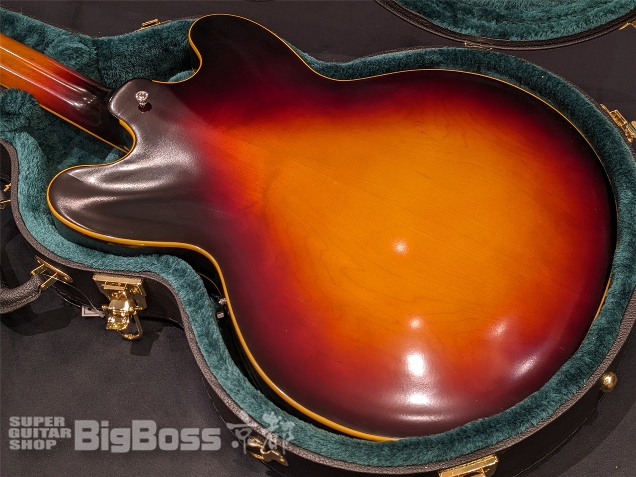 EDWARDS E-SA-STD / Tobacco Sunburst（新品/送料無料）【楽器検索