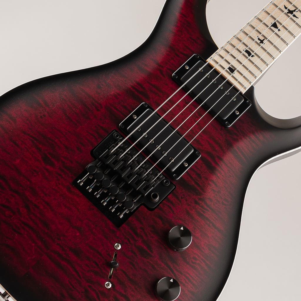 お得セット Paul Reed Smith(PRS) Dustie Waring CE24 Floyd Waring Burst ギター