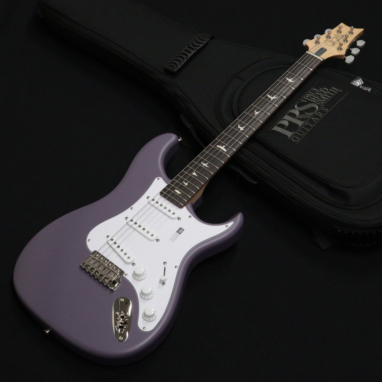 Paul Reed Smith(PRS) SILVER SKY Rosewood Black Plum Satin 【NEW