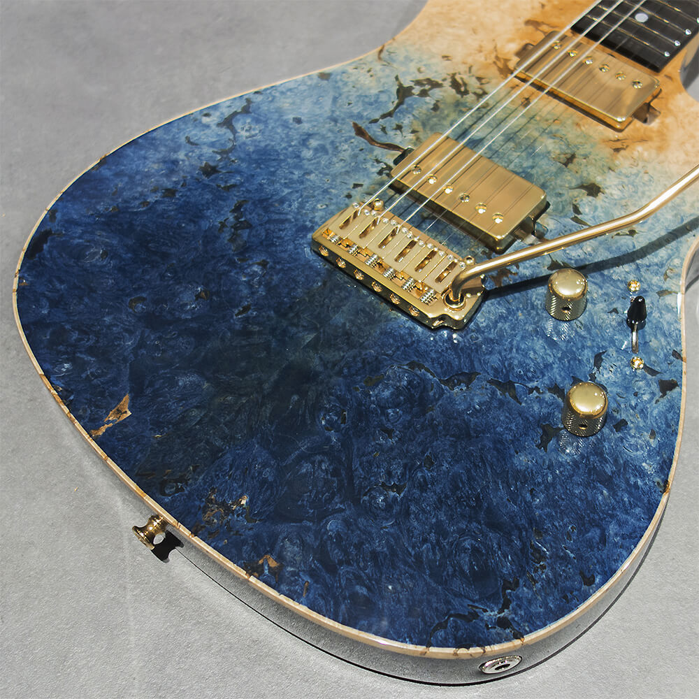 Sugi DS496E BM-PRM/HM/ALD/SBL Gradation【分割48回払いまで金利