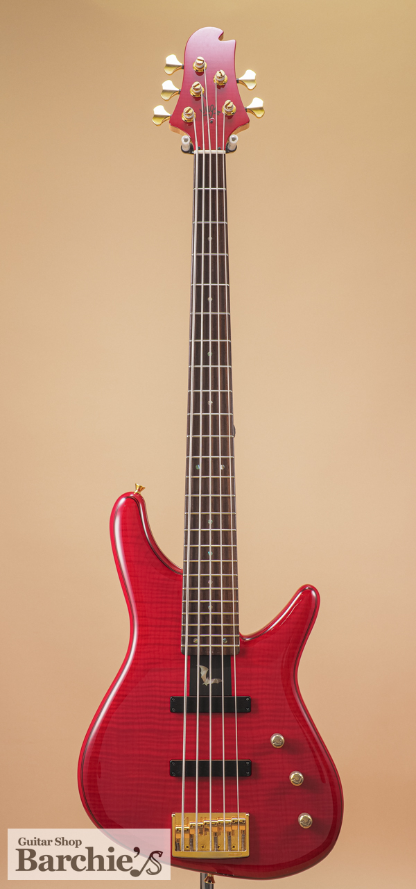 Sugi NB5C FM/ASH STR（中古）【楽器検索デジマート】