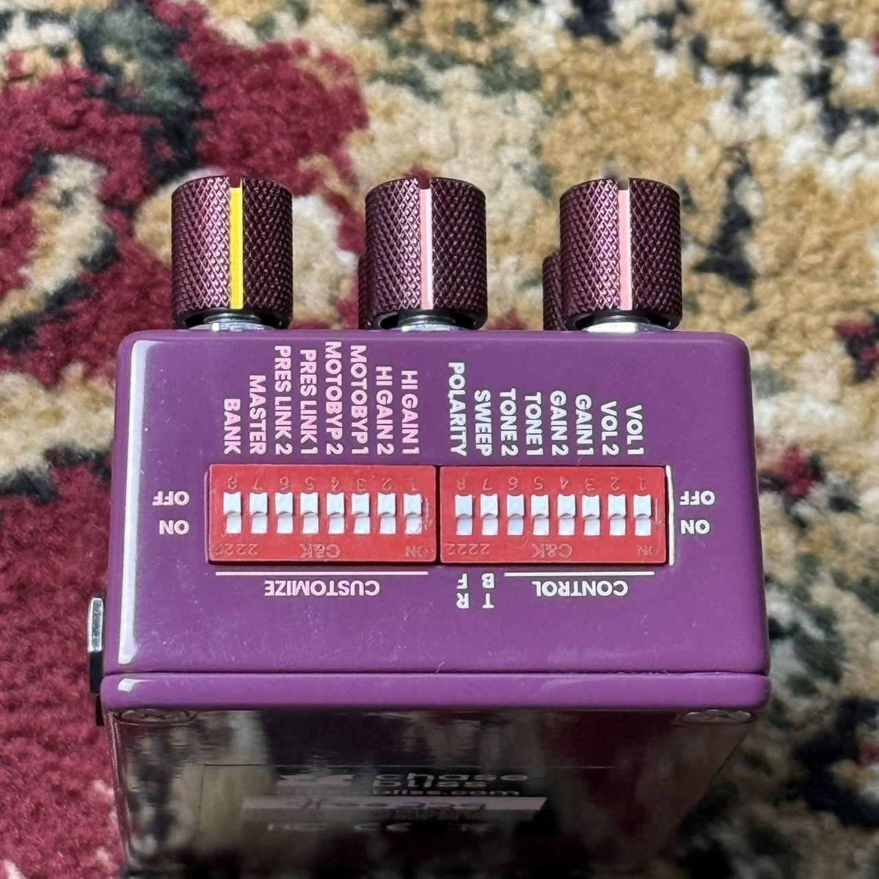 Chase Bliss Audio Brothers AM 【Chase Bliss×Analog Man】（新品