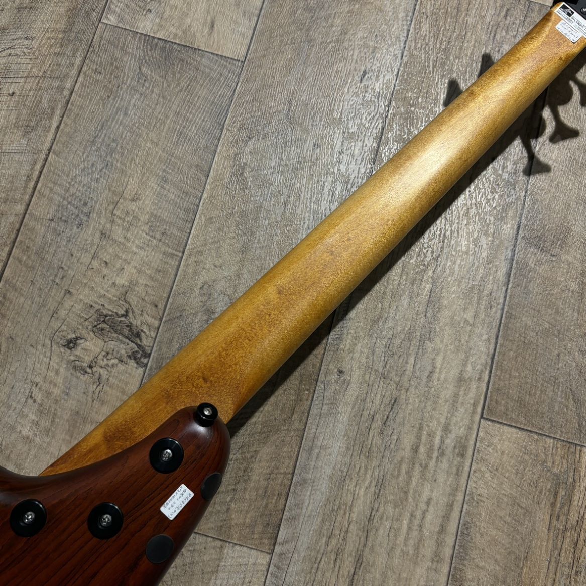 ATLANSIA BOHEMIAN 5st Ash / Brown（新品/送料無料）【楽器検索