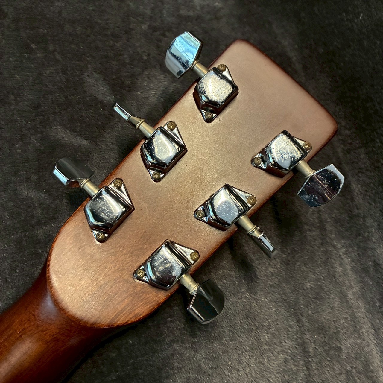 Morris MD502 【USED】【2.08㎏】（中古）【楽器検索デジマート】