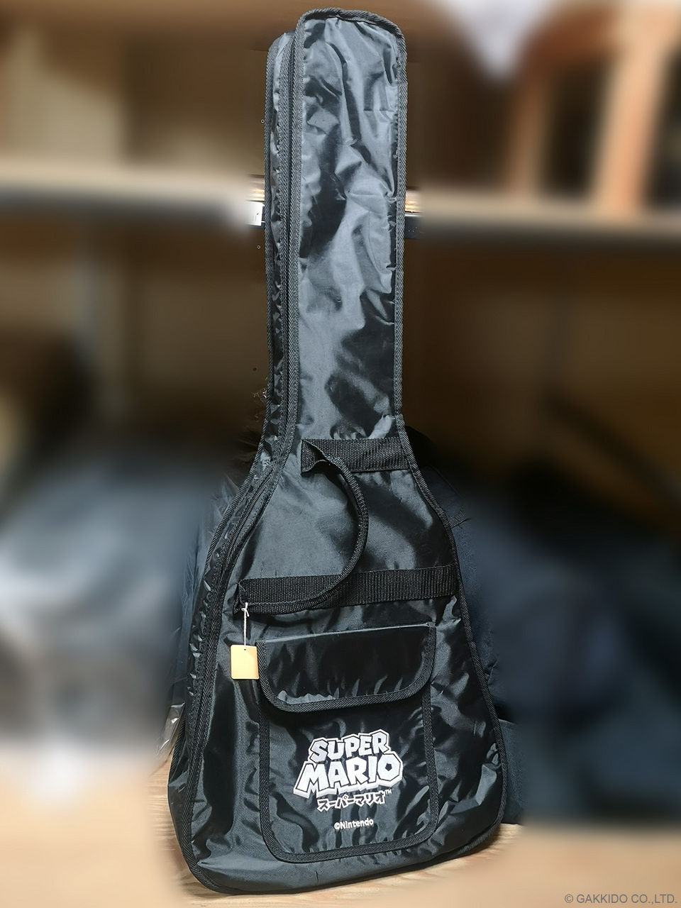 ARIA ARIA-151SM 