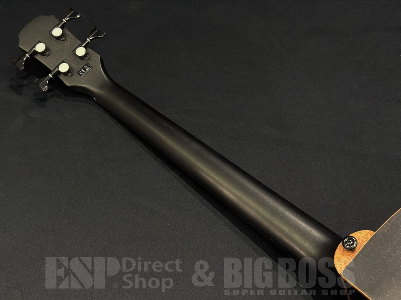 ARIA FEB-F2/FL / STBK（新品/送料無料）【楽器検索デジマート】