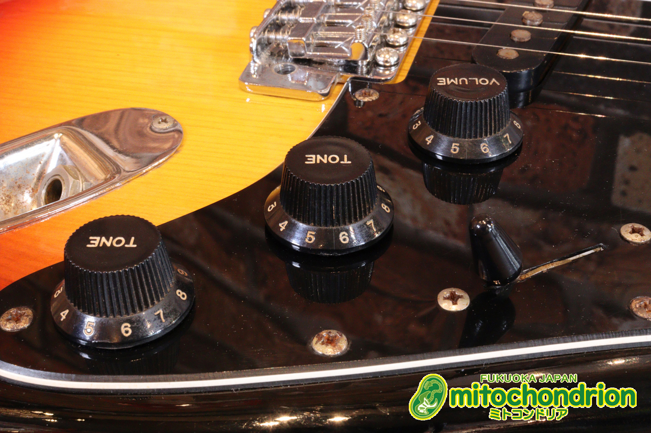 Tokai 1980年製 SILVER STAR SS-48 / Yellow Sunburst（中古）【楽器