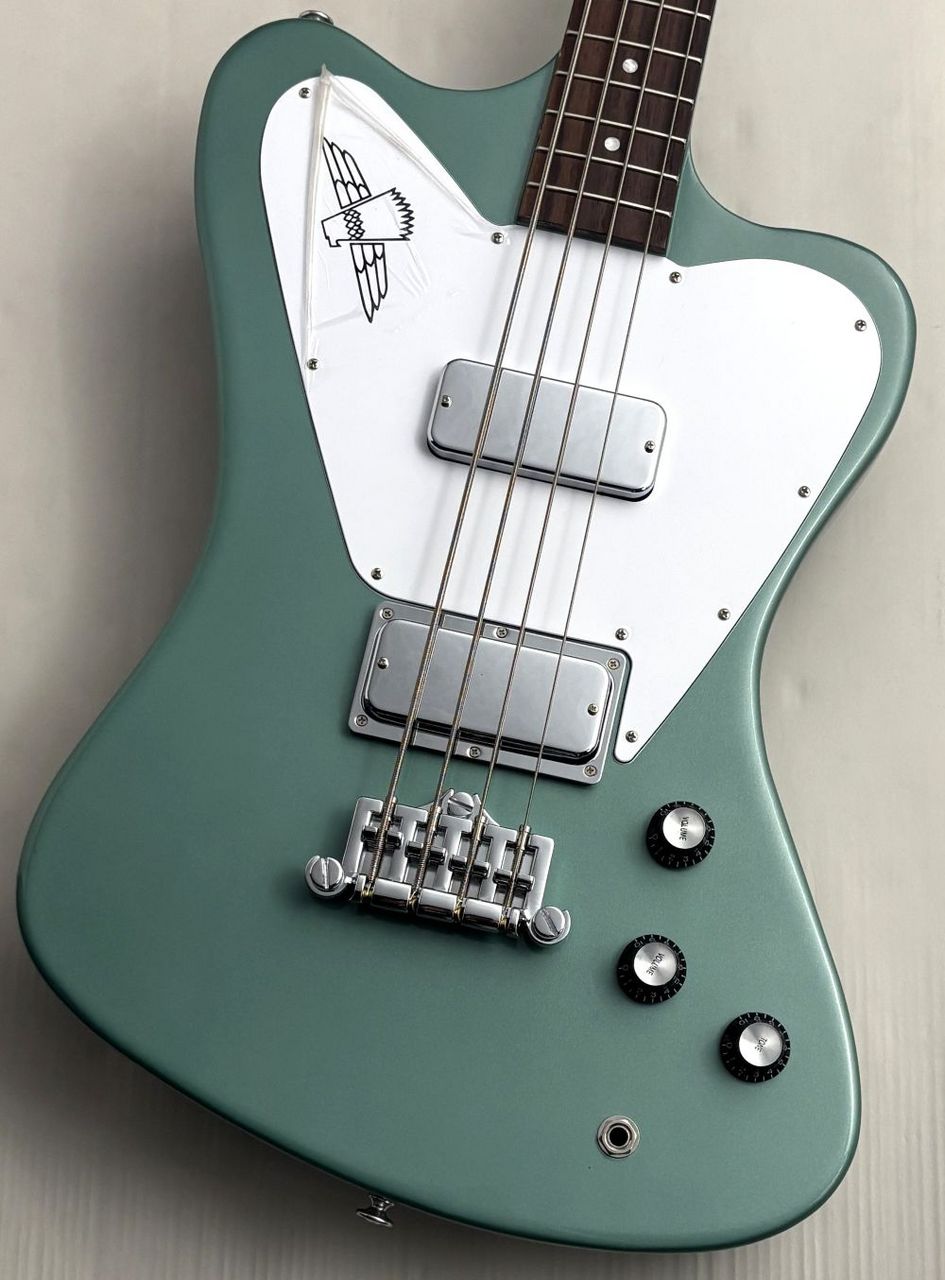 Gibson Non-Reverse Thunderbird -Inverness Green-【Outlet】（新品