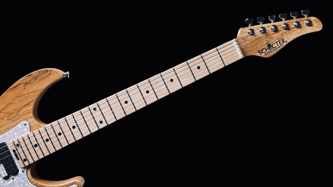SCHECTER SD-2-24-SP-VTR/M (NTL) 【S/N:S2309016｜3.88kg