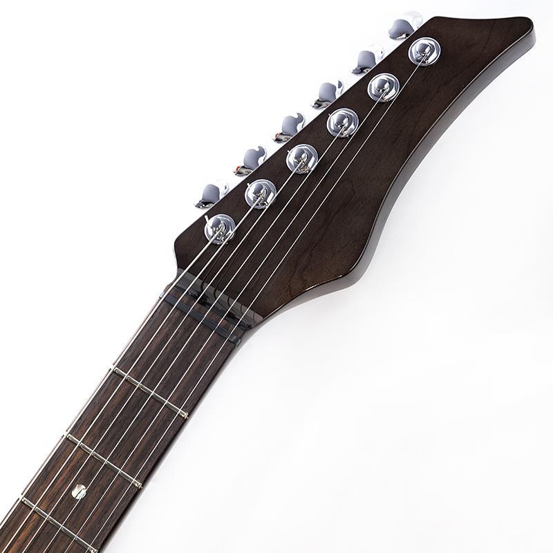 EVO 0101Z Trem H-Silver Limited 最新生産即納可能！（新品）【楽器