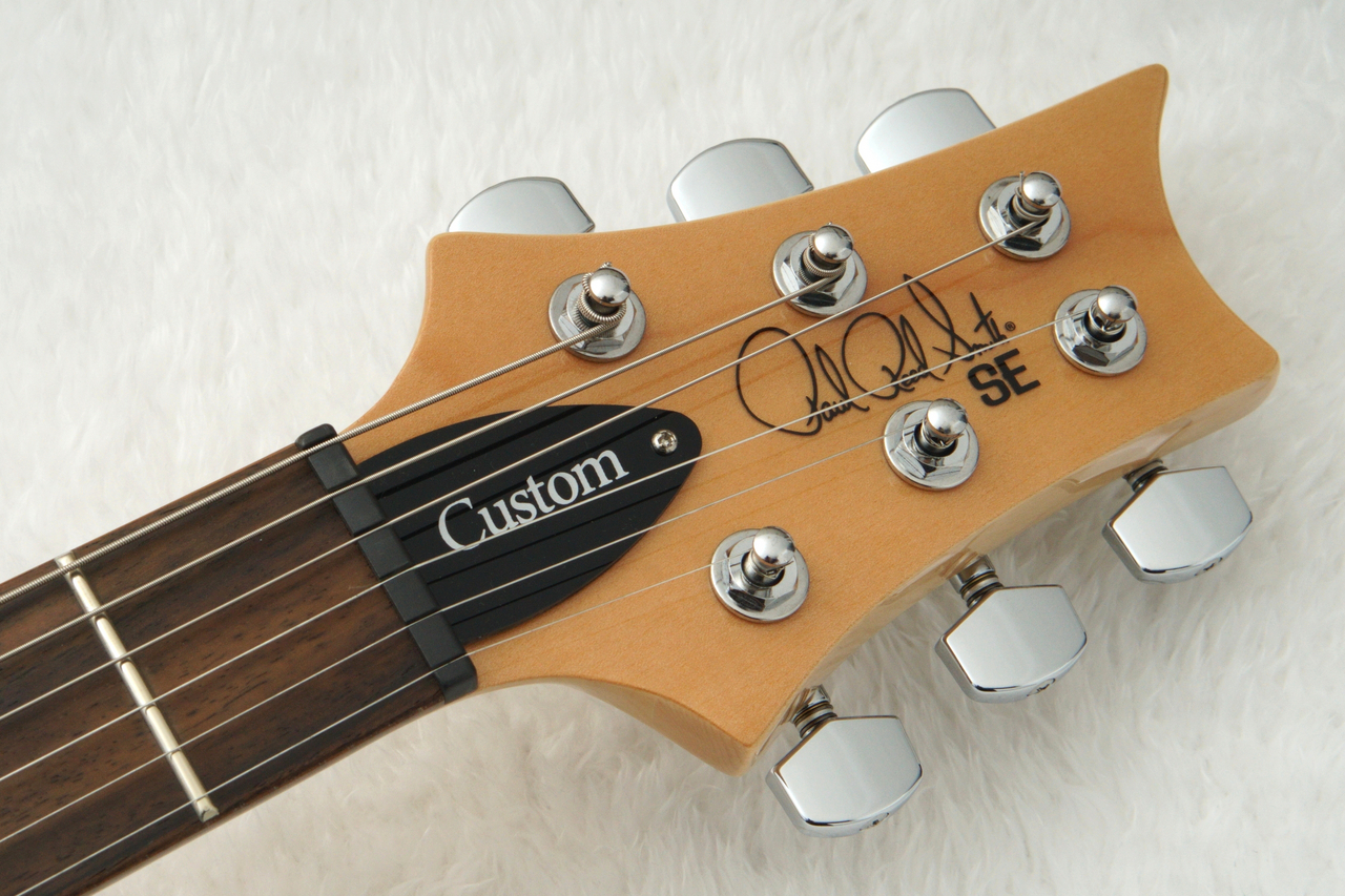 Paul Reed Smith(PRS) 2025 SE CUSTOM 24 ～Blue Fade～ #CTIH023558