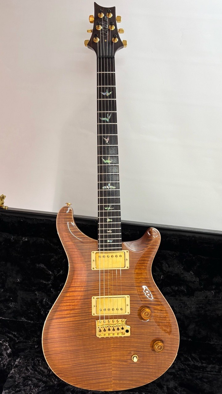 Paul Reed Smith(PRS) Custom 22 Artist Package -Amber