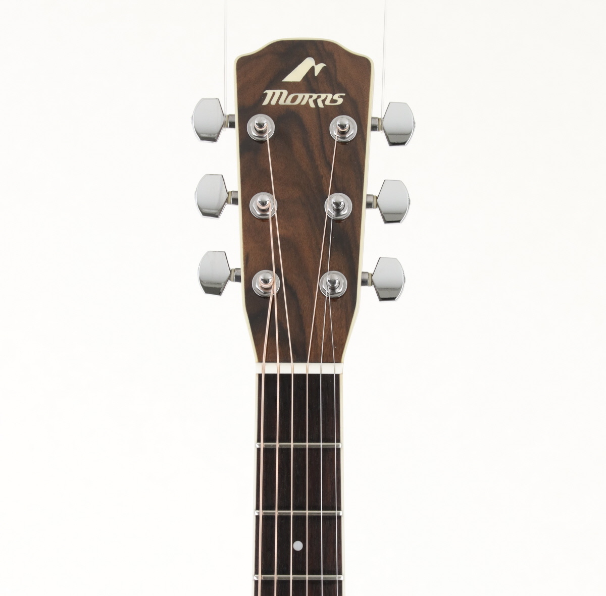 ギター Morris MF603 ギター Morris MF603 ギター Morris MF603 MF-603 | 生産完了品
