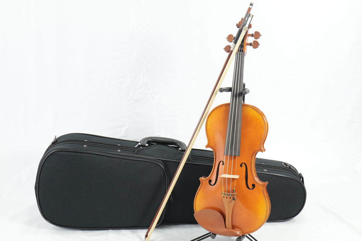 Carlo Giordano VS-2 バイオリンセット 1/2 Violin Set 入門 初心者 ヴァイオリン  【WEBSHOP】（新品/送料無料）【楽器検索デジマート】