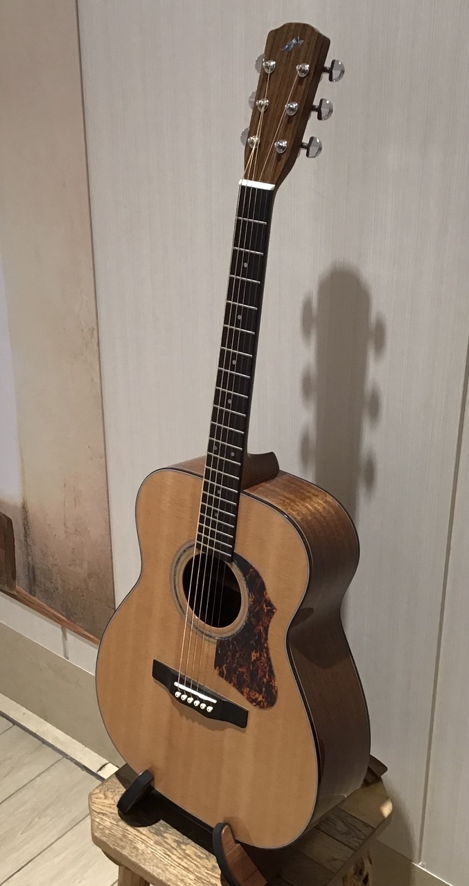 ひまわり様Morris F-351i表単板 エリクサー弦セット・ケース付き Amazon | MORRIS S-031 アコースティックギター トップ単板
