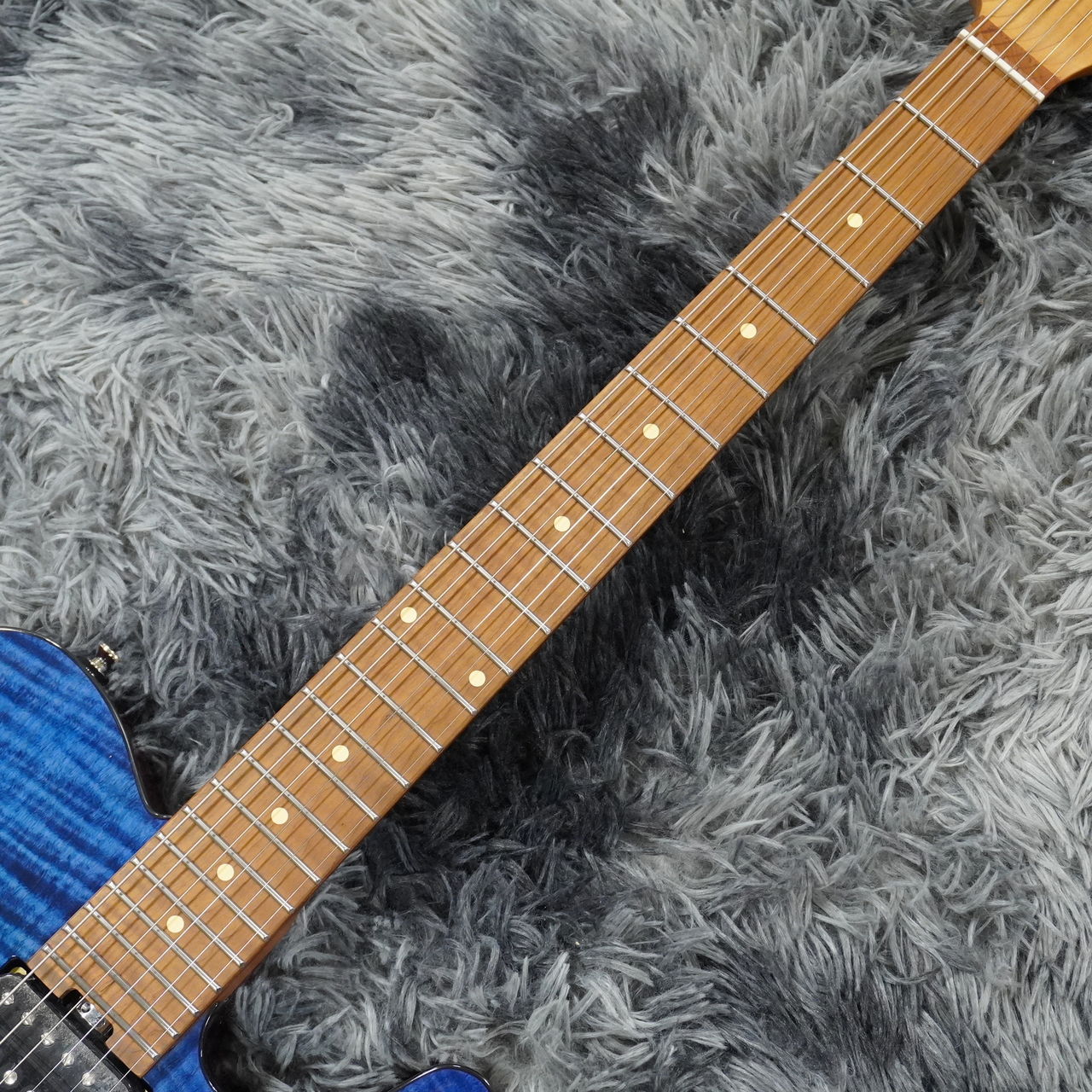 Bacchus TACTICS24-FM/RSM ST-BLU -Global Series-【WINTER SELECTION