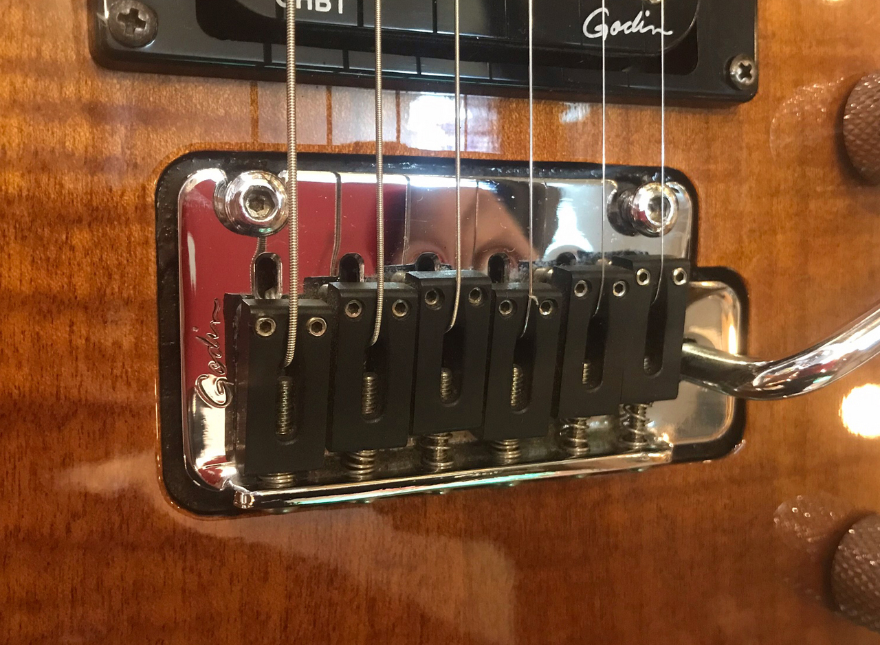 ましちゃん専用❗️極美品‼️godin Freeway SA ギターシンセ ましちゃん専用❗️極美品‼️godin Freeway SA ギターシンセ