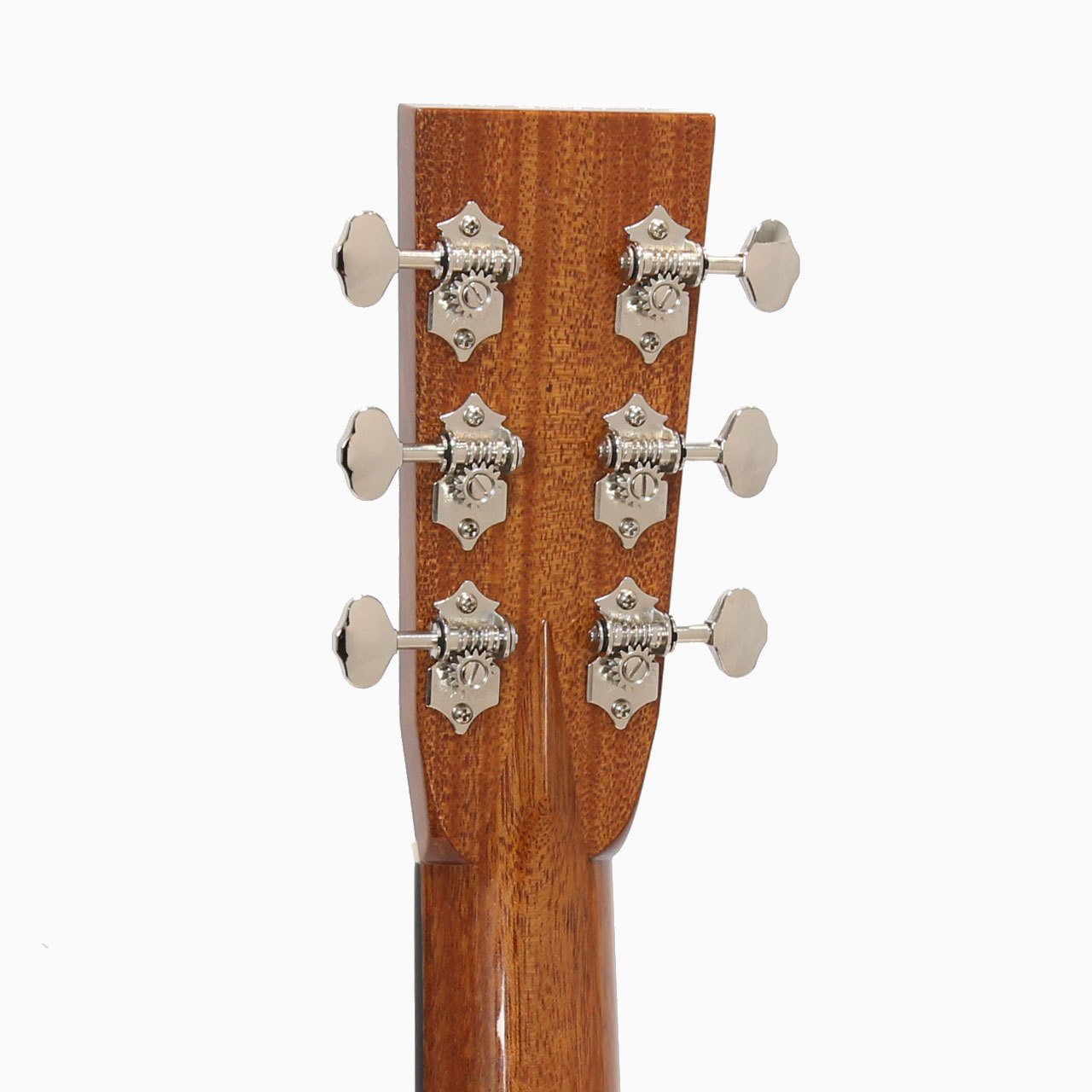 ASTURIAS(アストリアス) TRAD OM Reverence（新品/送料無料）【楽器