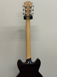 D'Angelico Premier Brighton Sky Blue Top, Natural Mahogany Back
