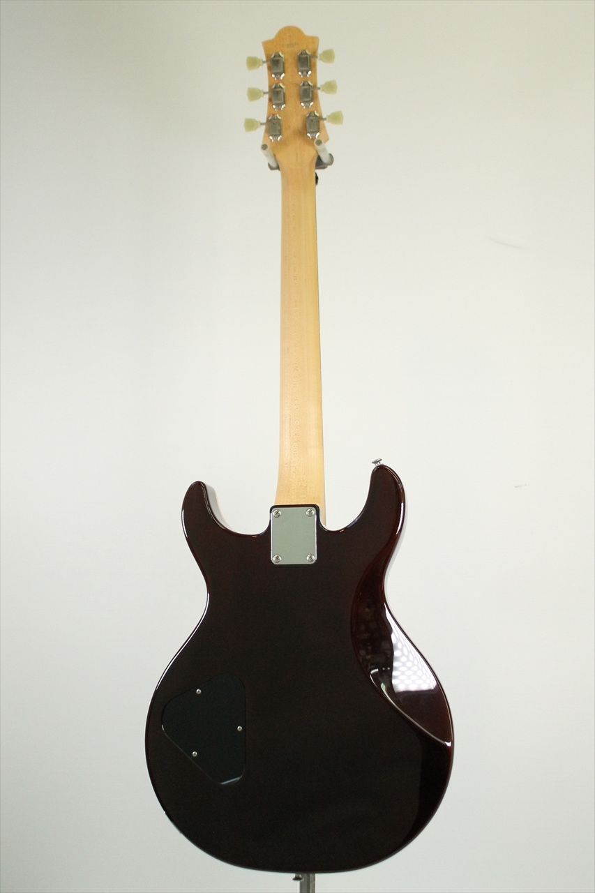 Wisdom DC5 / Brown Amber（新品/送料無料）【楽器検索デジマート】