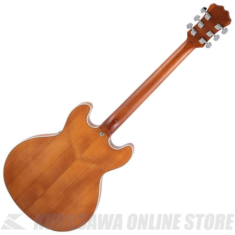 Aria Pro II TA-200 MH TA series セミアコースティックギター（新品