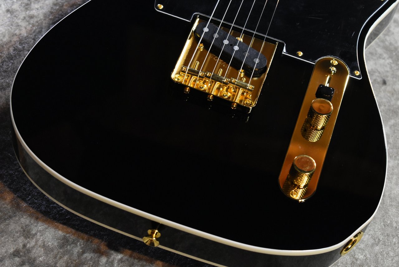 Tokai ATE-101B/G BBR #250631【待望の入荷、漆黒指板、3.69kg】（新品