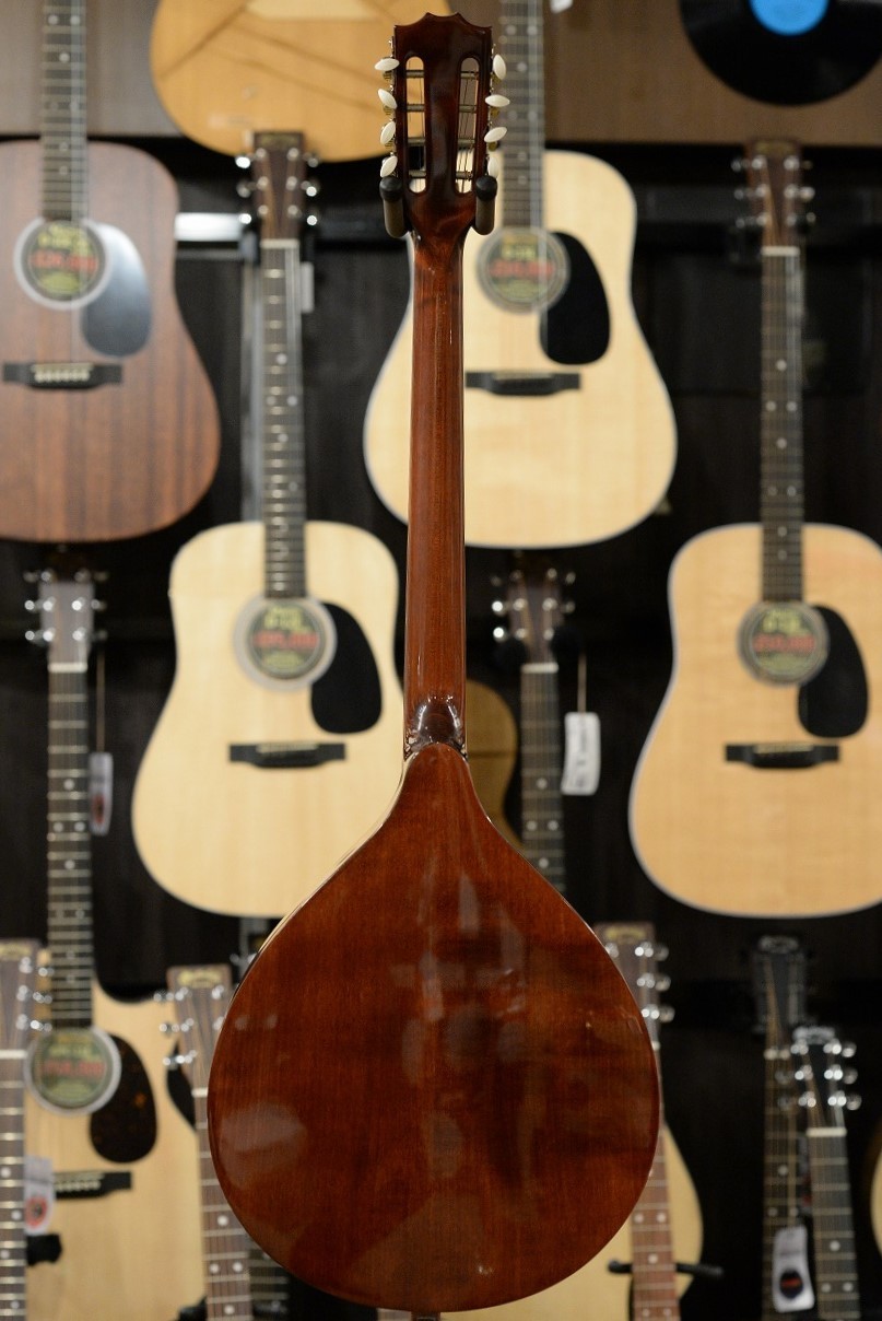 HORA Octave Mandolin M1087【オクターブマンドリン】（新品）【楽器 