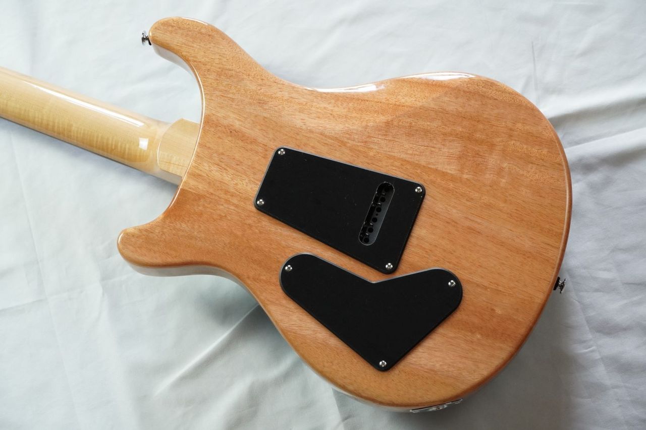 Paul Reed Smith(PRS) SE Custom 24 /Blue Matteo 2025年製