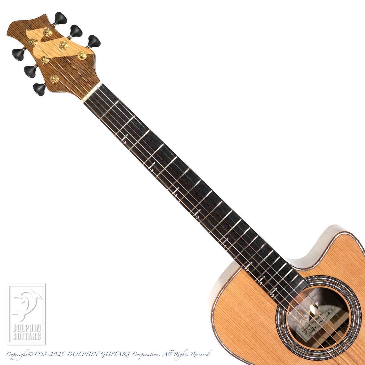 Morris SC-741 地杉黄檗（新品）【楽器検索デジマート】