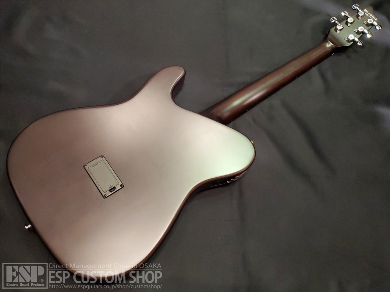 SCHECTER OL-FL SSG（新品/送料無料）【楽器検索デジマート】