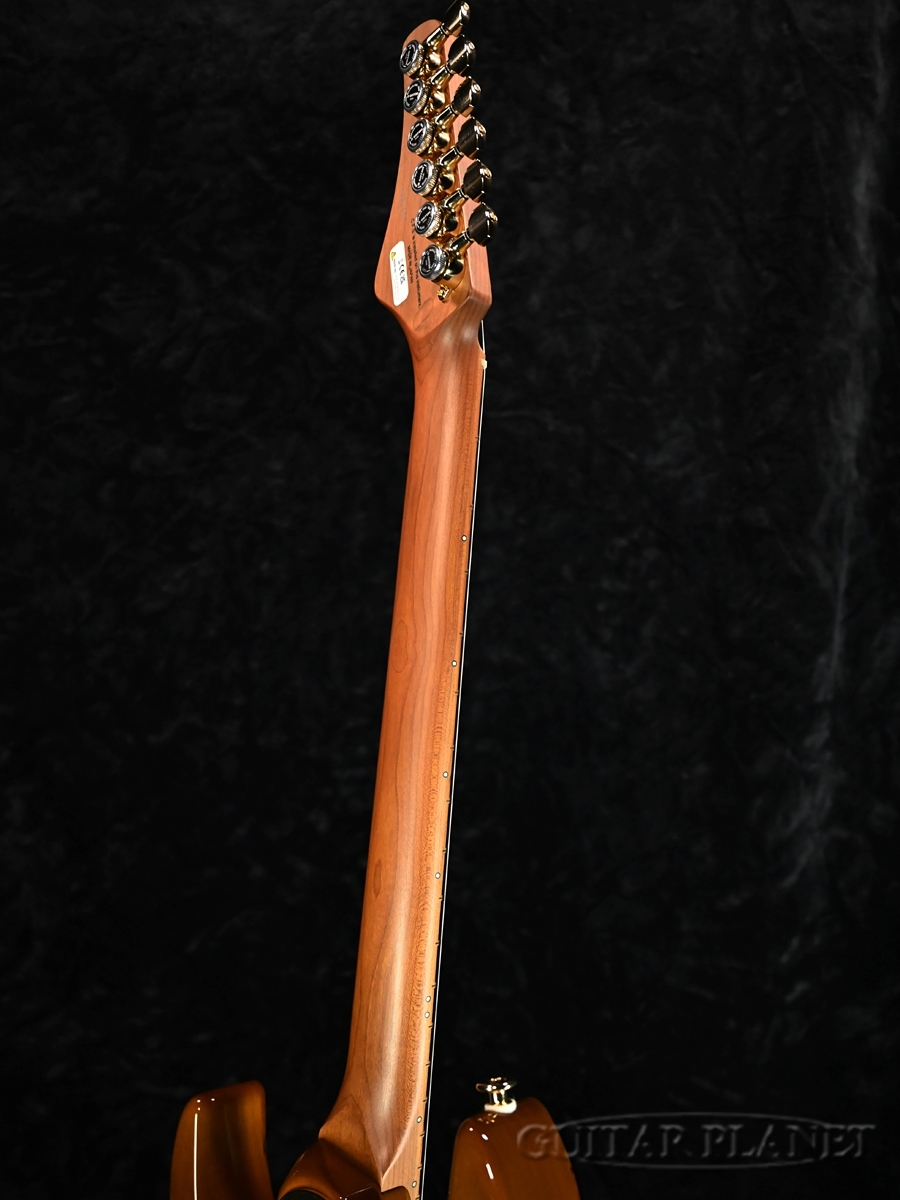 FUJIGEN(FGN) EOS2-EW1-RM/HCB《3.52kg》【ローン金利0%】【オンライン