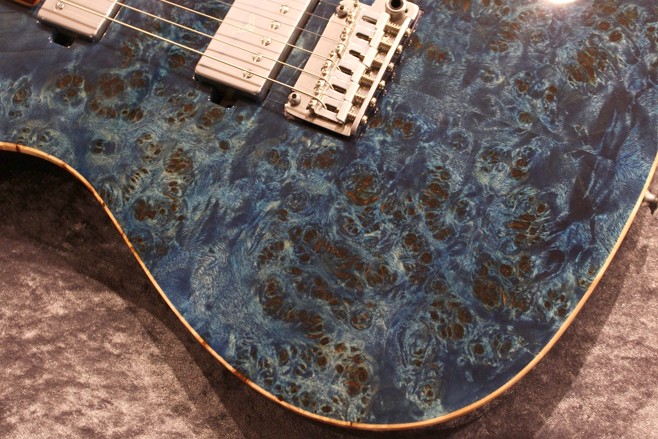 Sugi 20th Anniversary Limited Logo DH496C POP/TT/H-MAHO Royal Blue 