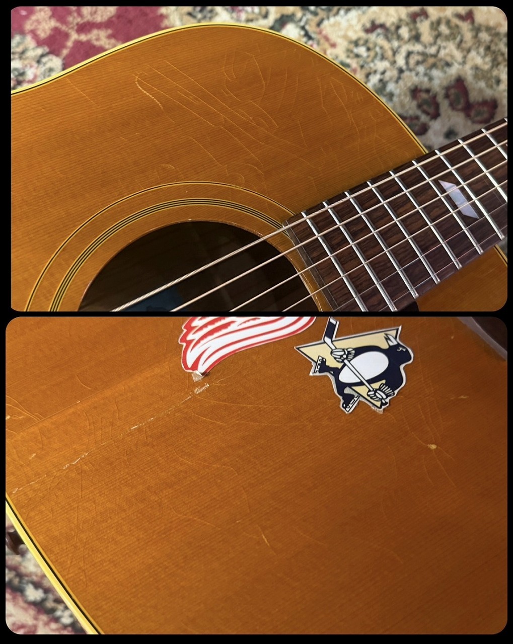 Epiphone 【USED】 Paul McCartney Texan FT-79 【2005年製】 【試奏