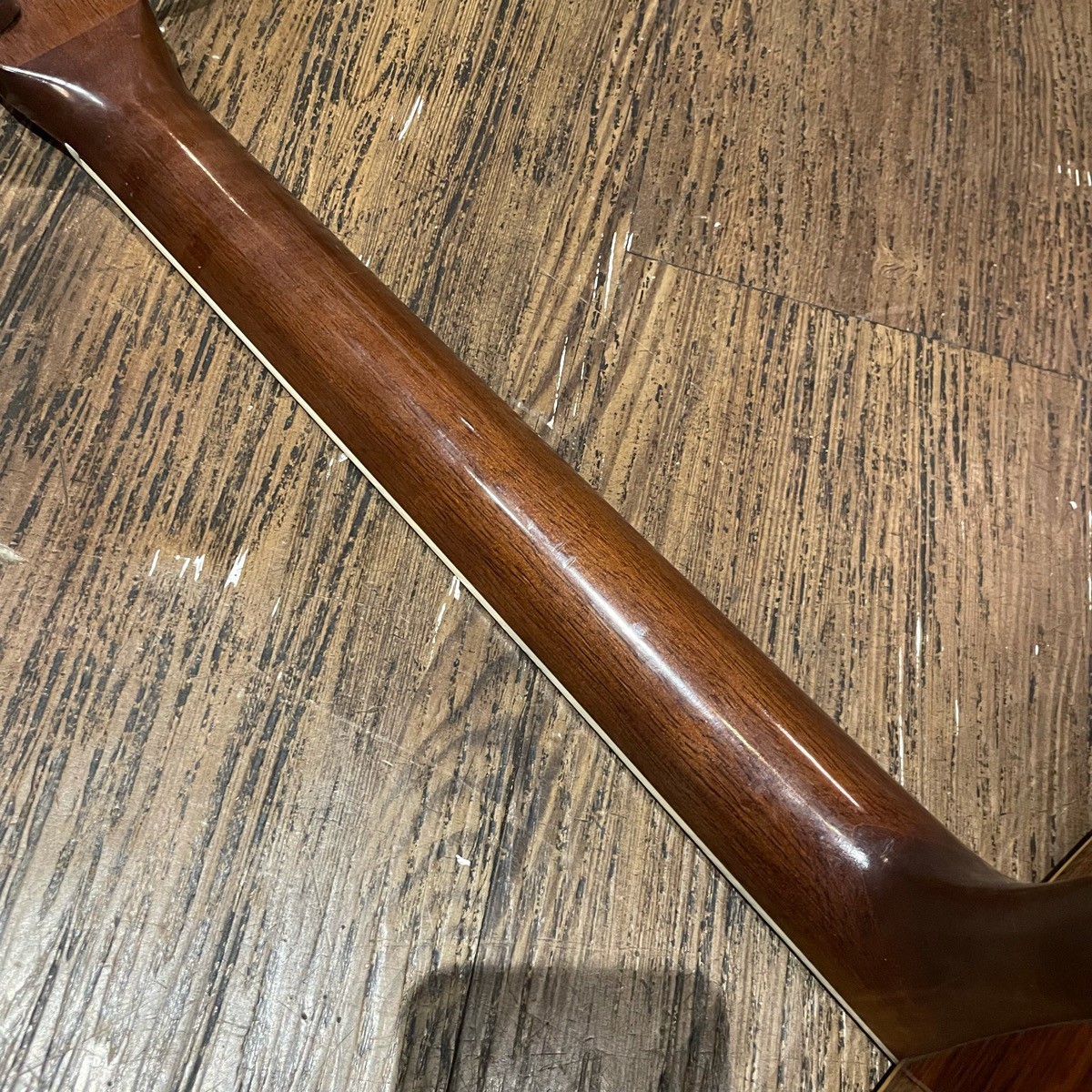 Tokai Cat's Eyes CE20 (エレアコ仕様) Tokai Cat's Eyes CE-200 Acoustic Guitar アコースティック
