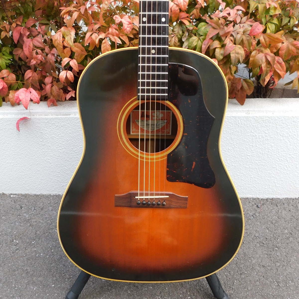 良品 日本製 1976年製 Burny BJ-60 バーニー 百瀬氏サイン入り Burny BJ-60（中古）【楽器検索デジマート】