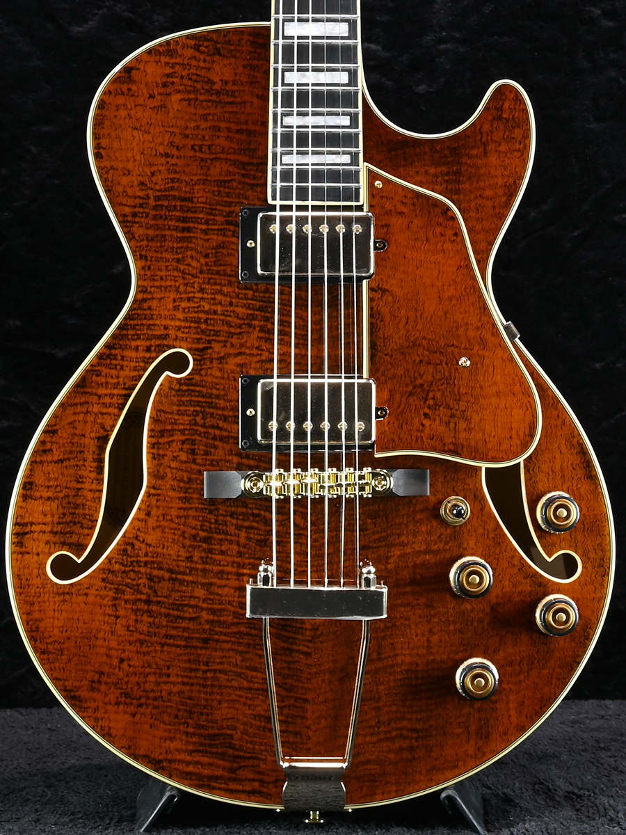 Ibanez 【スポット生産!!】AG95MG-DA(Dark Amber)《2.9kg