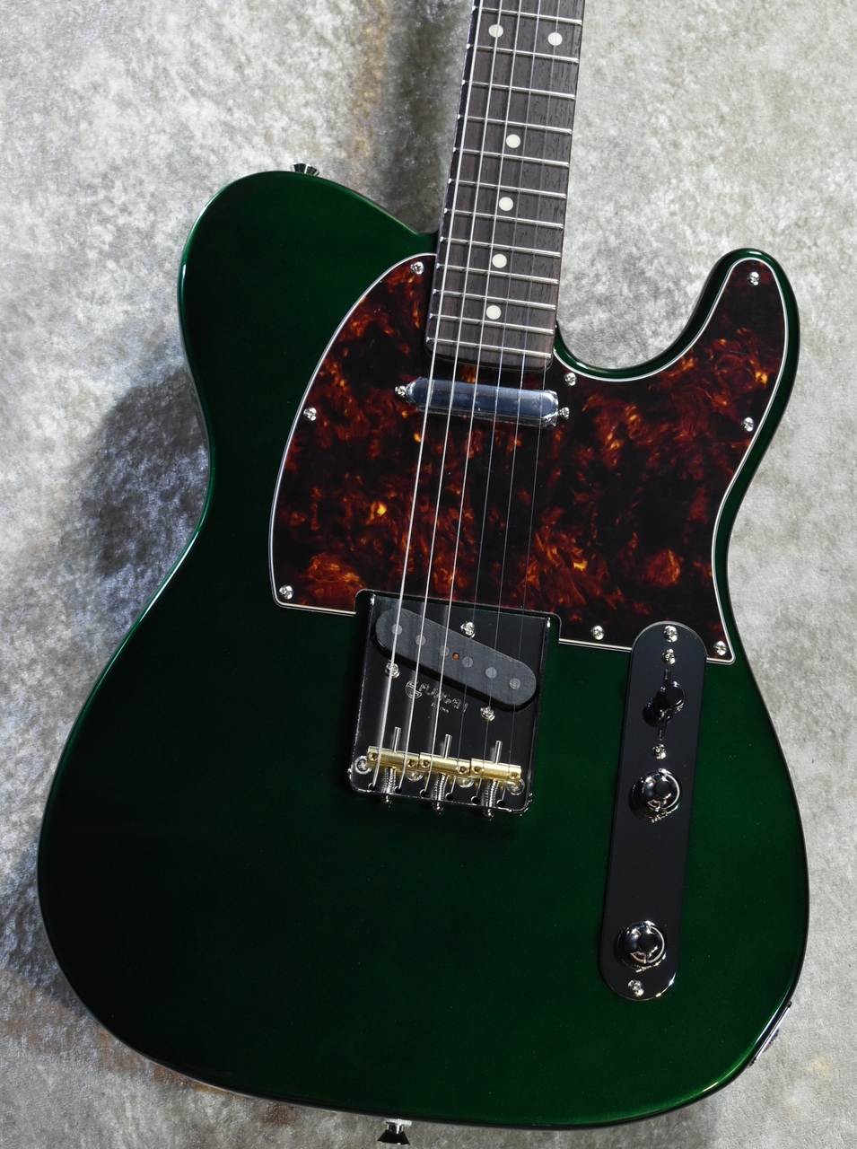 FUJIGEN(FGN) NTE100RAL Candy Apple Green #E250084【3.45kg