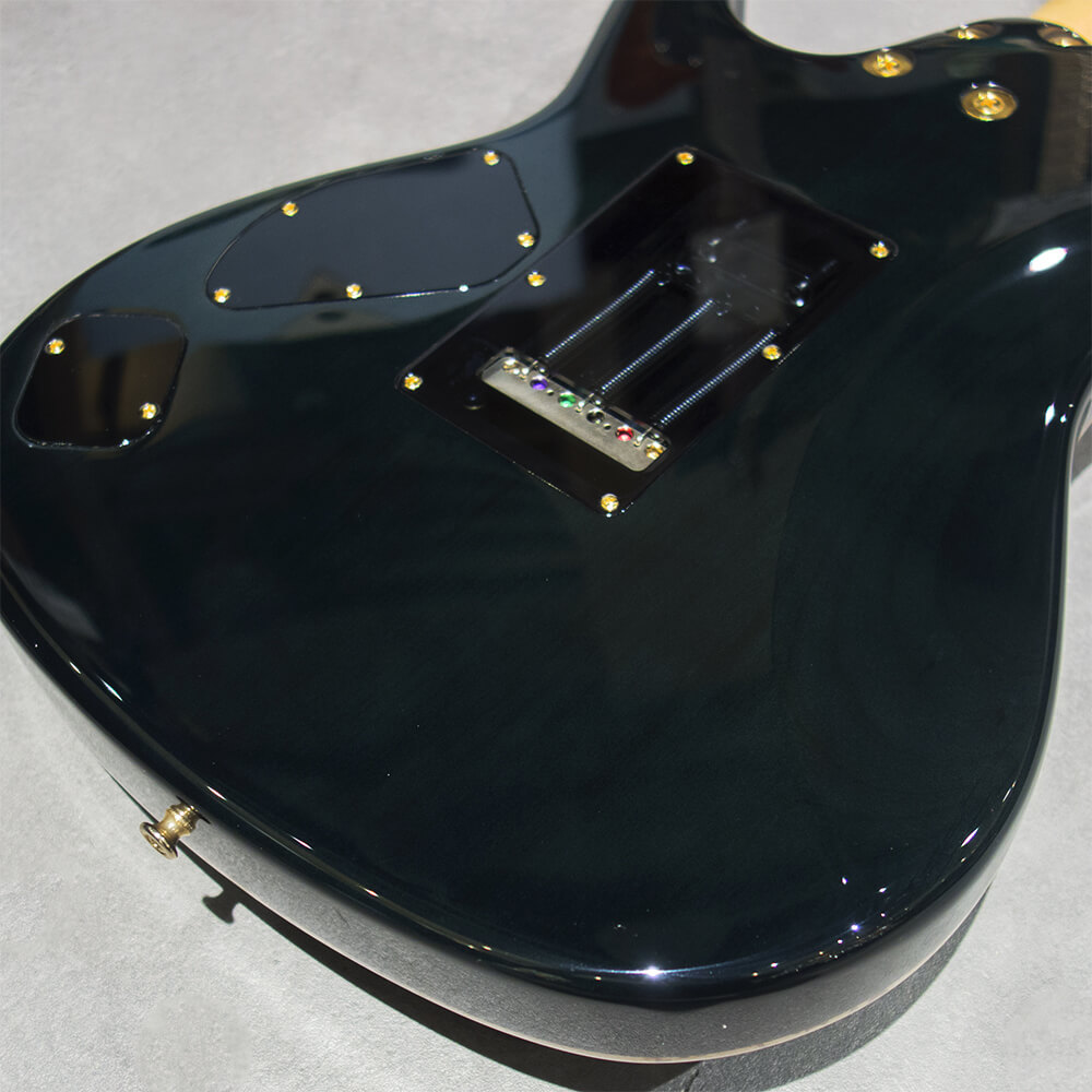 Sugi DS496E BM-PRM/HM/ALD/SBL Gradation【分割48回払いまで金利