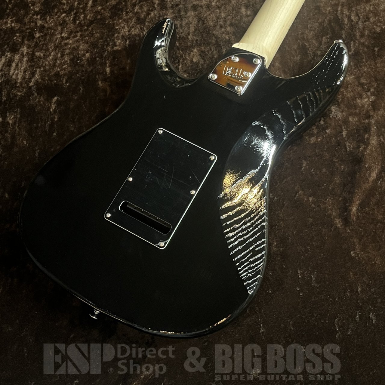 EDWARDS E-SNAPPER-AS/M【Solid Black】（新品/送料無料）【楽器検索