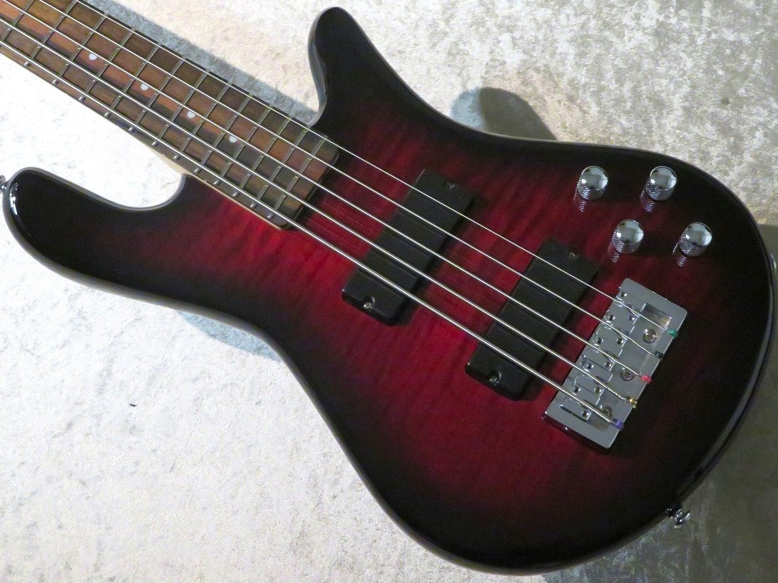 Spector Legend 5 Standard -Black Cherry-【5弦】【4.12kg】 （新品