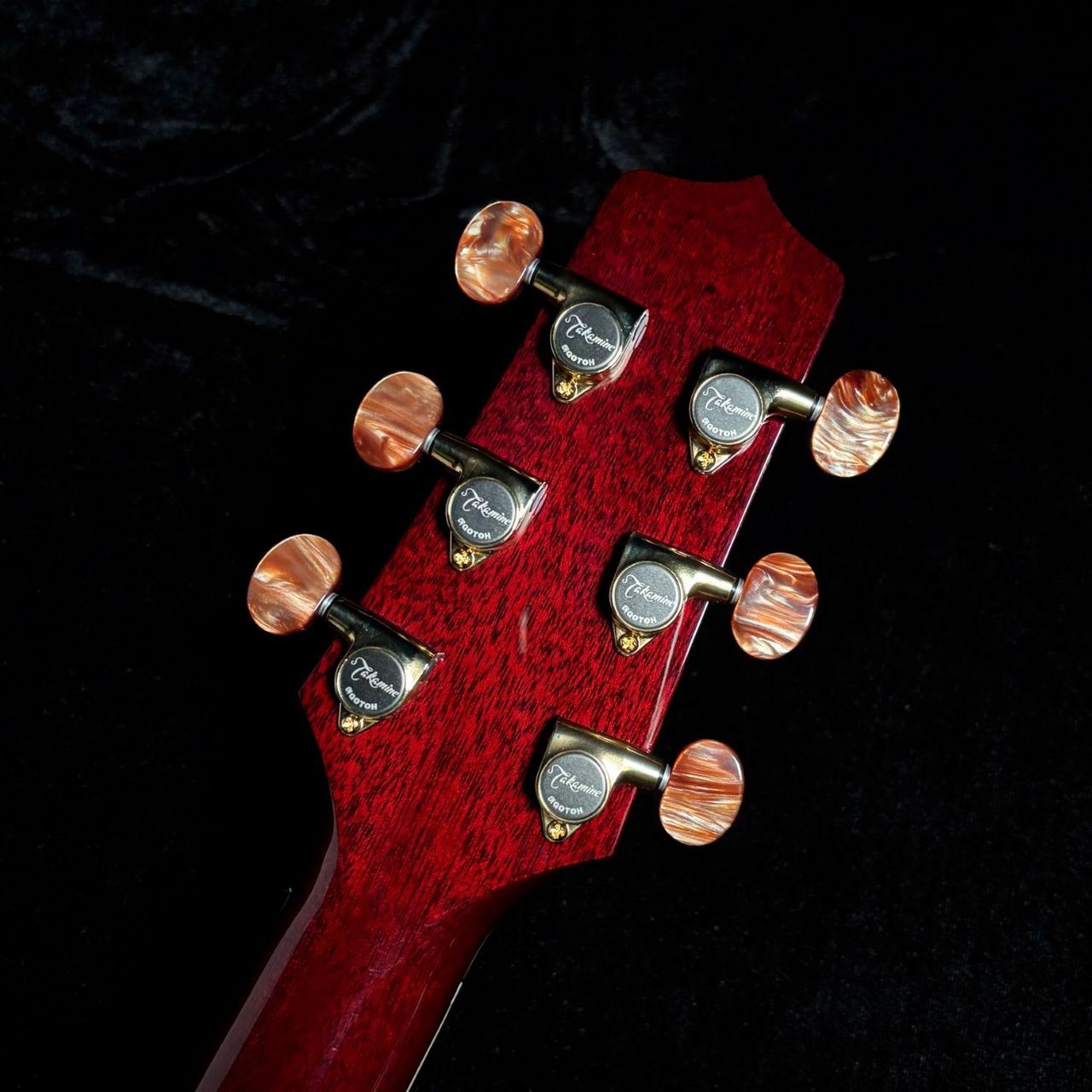Takamine DMP50S WR【現物画像】エレアコギター セミハードケース付属