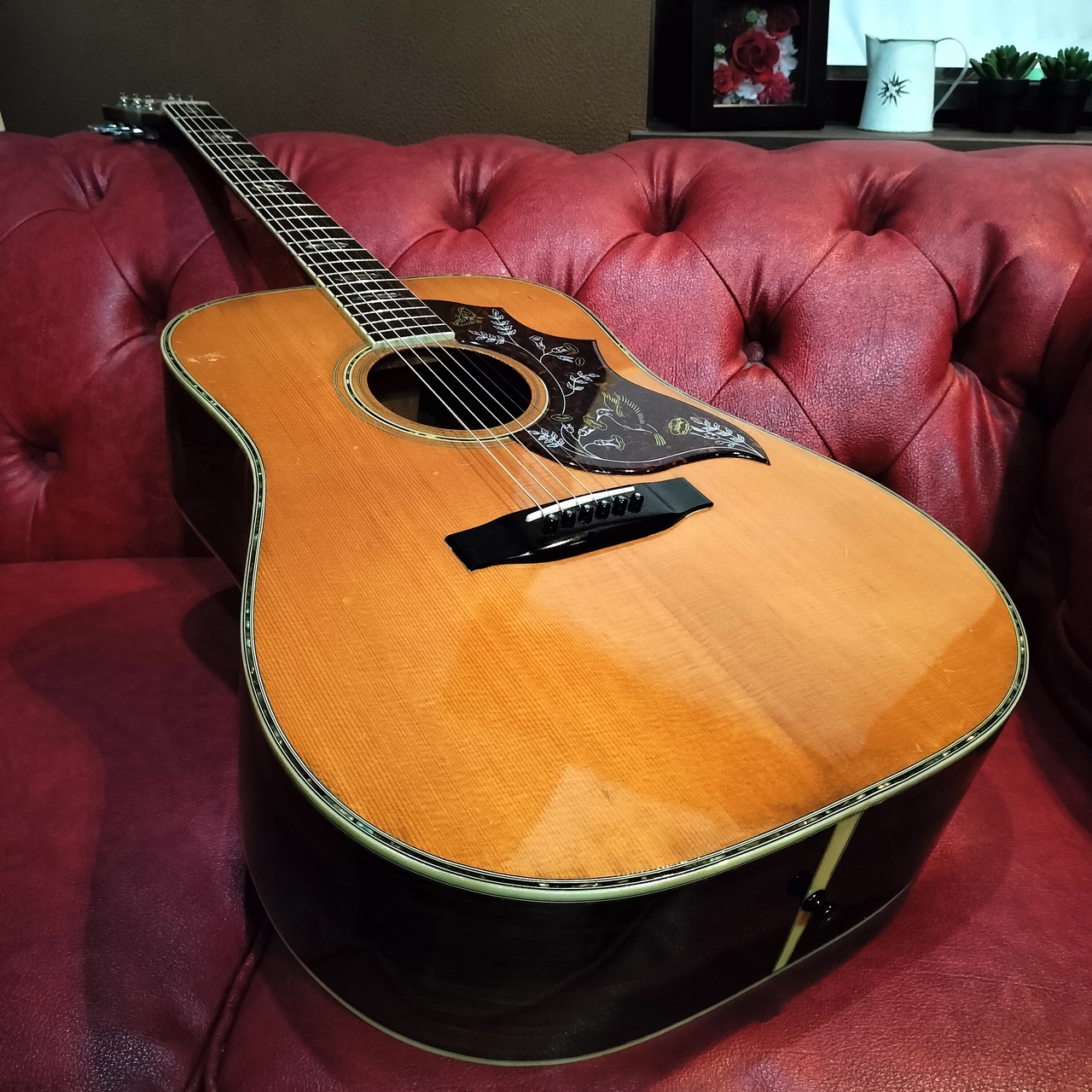 Morris W-60 TF 1980（ビンテージ）【楽器検索デジマート】