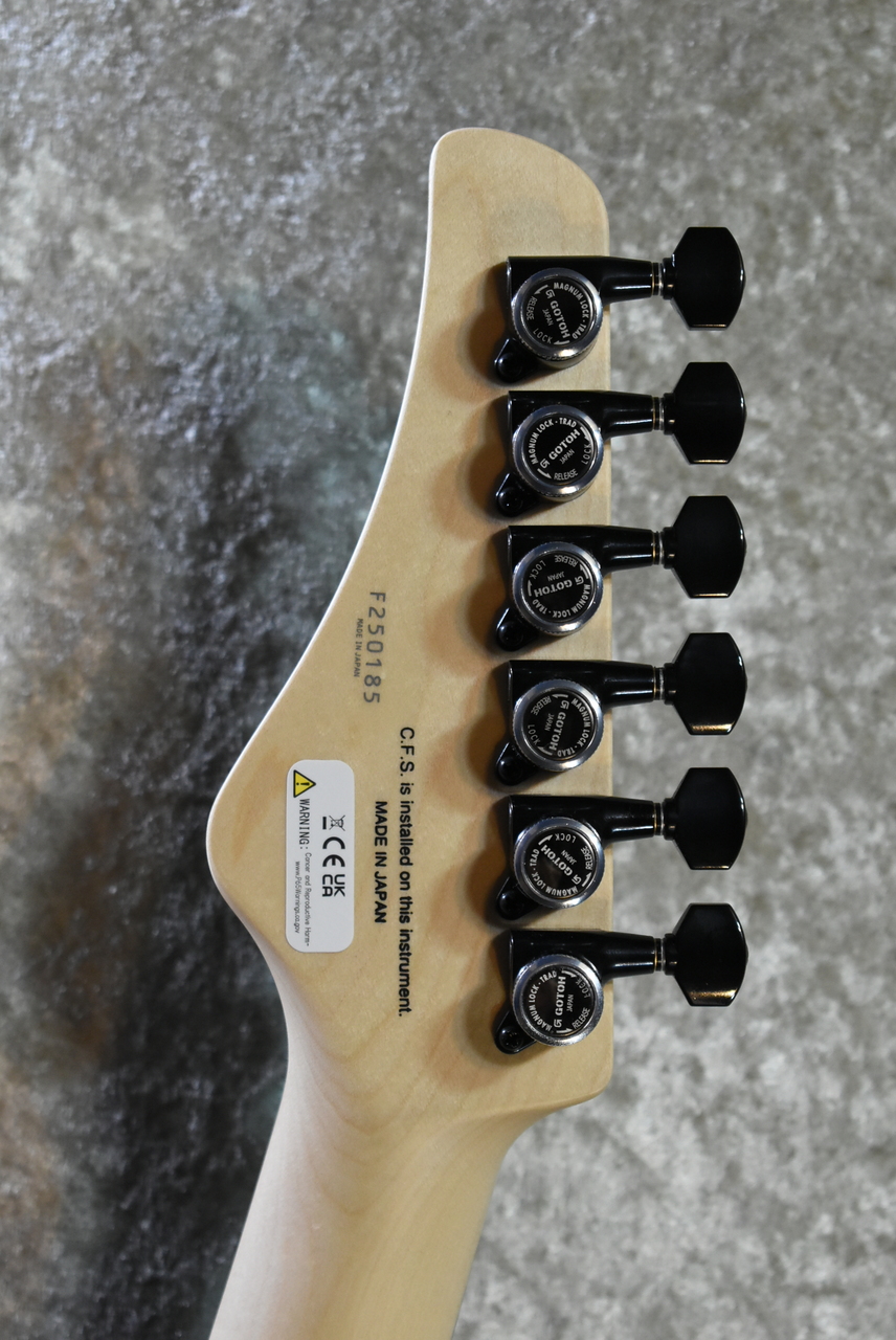 くろページ FUJIGEN(FGN) JIL2-ASH-DE664-R Open Pore Black #F250185【3.80